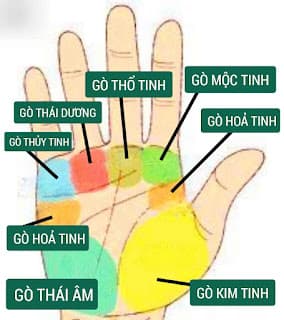 Về Xem Chỉ Tay và Vận Trình